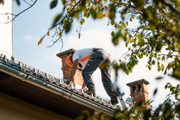 Best Roof Leak Repair  in Franklin, NH