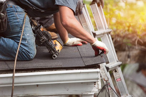Best Roof Gutter Cleaning  in Franklin, NH