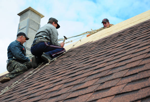 Best Roof Maintenance Services  in Franklin, NH